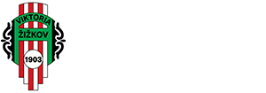 FK VIKTORIA ŽIŽKOV plážový fotbal